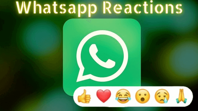 Whatsapp Reactions