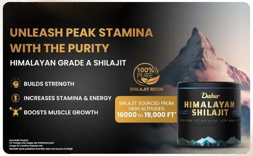 dabur himalayan shilajit resin 15g 484