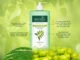 biotique fresh neem anti dandruff shampoo 256