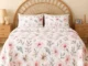 bsb home 100 cotton cloudtouch double bed bedsheet set