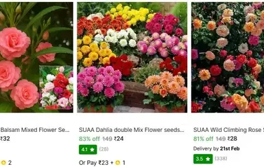 plant seed starts from 24