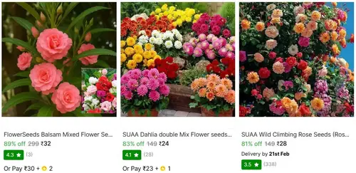 plant seed starts from 24