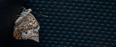 first computer bug was 1