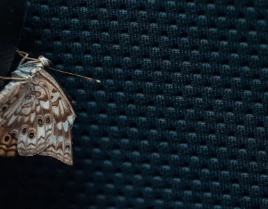 first computer bug was 1