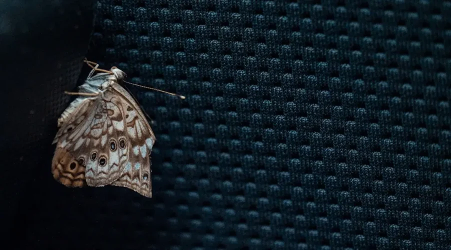 first computer bug was 1